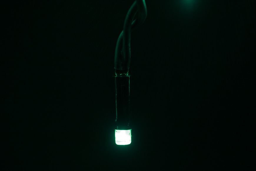 Гірлянда вулична LUMION нитка 100LED 10m 230V колір зелений/чорний IP44 EN